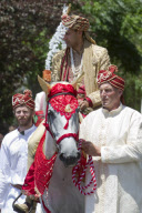 Wedding of Vikram Aditya Kumar and Pooja Chitogeker, Auckland, New Zealand - 07 Jan 2011