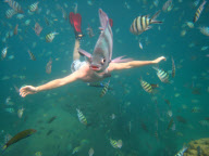 Traveller Nick Kelly has close encounter with a fish, Koh Tao, Thailand - Nov 2010