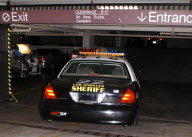 Paris Hilton in a police car