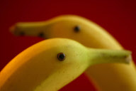 Fruit Faces
