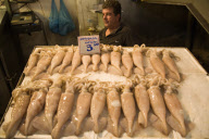 Greece Attica Athens