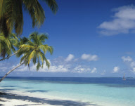 Maldives Beach