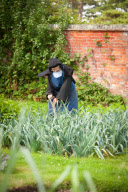 Self sufficient nuns at the Monastery of Visitation, Waldron, East Sussex , Britain - 01 Sep 2010