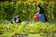 Self sufficient nuns at the Monastery of Visitation, Waldron, East Sussex , Britain - 01 Sep 2010