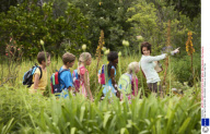 Kids Field Trip