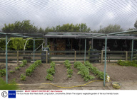 The Eco House that Heats Itself, Long Sutton, Lincolnshire, Britain