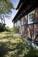 frame house and tree