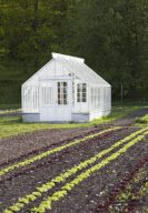 greenhouse in front of forest
