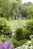 View of lawn country garden