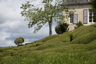Topiary garden