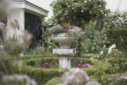 Arangement in summer garden