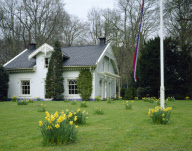 Spring woodland garden