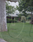 Swing in backyard
