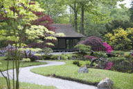 Curved path leading to tea house in Japanese garden
