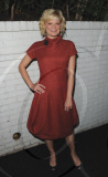 Entertainment Weekly Pre SAG Awards Party at the Chateau Marmont Hotel in West Hollywood, Los Angeles, America - 29 Jan 2011