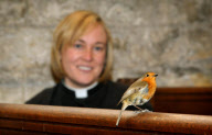 Robin makes home in 12th-century St Mary's Church, Portchester Castle, Hampshire, Britain - 29 Jan 2011