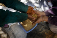 Working to improve women's health in Afghanistan.