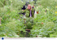 Chelsea Flower Show. Great Pavilion Gardens Which Has Been Noted That The Gardens Have A More Natural Feel Opposed To The More Corporate Show Gardens Pictured: Jekka's Herb Farm.