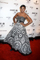 amfAR New York Gala to kick off Fall 2011 Fashion Week, New York, America - 09 Feb 2011
