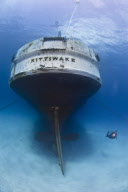 Diver Alex Mustard photographs undersea ship wrecks across world - Feb 2011