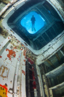 Diver Alex Mustard photographs undersea ship wrecks across world - Feb 2011