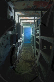 Diver Alex Mustard photographs undersea ship wrecks across world - Feb 2011