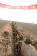 CHINA-HUAINAN-SPRING PLOUGHING (CN)
