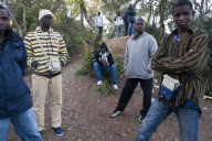 African immigrants