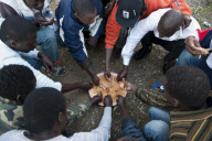 African immigrants