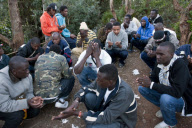African immigrants
