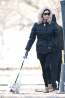 Catherine Zeta-Jones Taking Her Dog for a Walk in Central Park