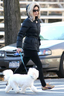 Catherine Zeta-Jones Taking Her Dog for a Walk in Central Park