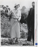 Queen Elizabeth The Queen Mother Pictured In July 1934 Digging In Mr J Oliver''s Potato Plot During Her Visit To The Deep Pits Allotments Of The Sheffield Unemployed.