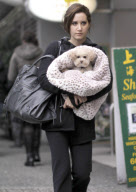 Ashley Tisdale