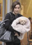 Ashley Tisdale
