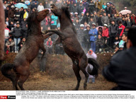 CHINA: Horse Fighting In Guangxi Miao Area