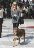 Amanda Seyfried Puppy Lunch Date