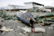 JAPAN-QUAKE