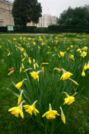 Royal Wedding Locations Feature-Stable Yard Road, London, United Kingdom