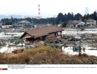 MIYAGE : Earthquake Hits Japan