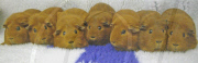 Seven ginger Guinea pigs for adoption, The Blue Cross centre, Burford, Oxfordshire, Britain - 17 Mar 2011