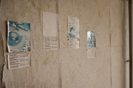 Chernobyl 25 years later