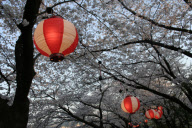 Japan - 2009