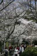 Japan - 2009