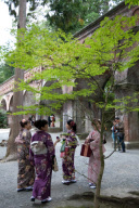 Kyoto, Japan - 24 Oct 2009