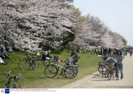 Japan - 2009