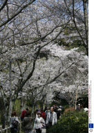 Japan - 2009