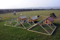 Chicken Hotel, where owners leave their chickens when they go on holiday, Helston, Cornwall, Britain - 16 Mar 2011