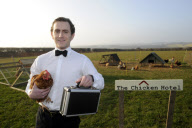 Chicken Hotel, where owners leave their chickens when they go on holiday, Helston, Cornwall, Britain - 16 Mar 2011