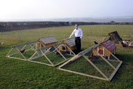 Chicken Hotel, where owners leave their chickens when they go on holiday, Helston, Cornwall, Britain - 16 Mar 2011